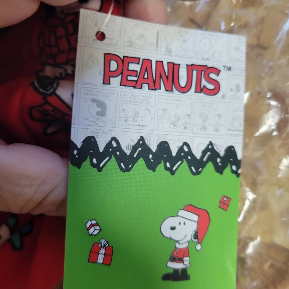 Peanuts NWT‎ 2PC Snoopy Christmas Hoodie & Pants Womans Size Small